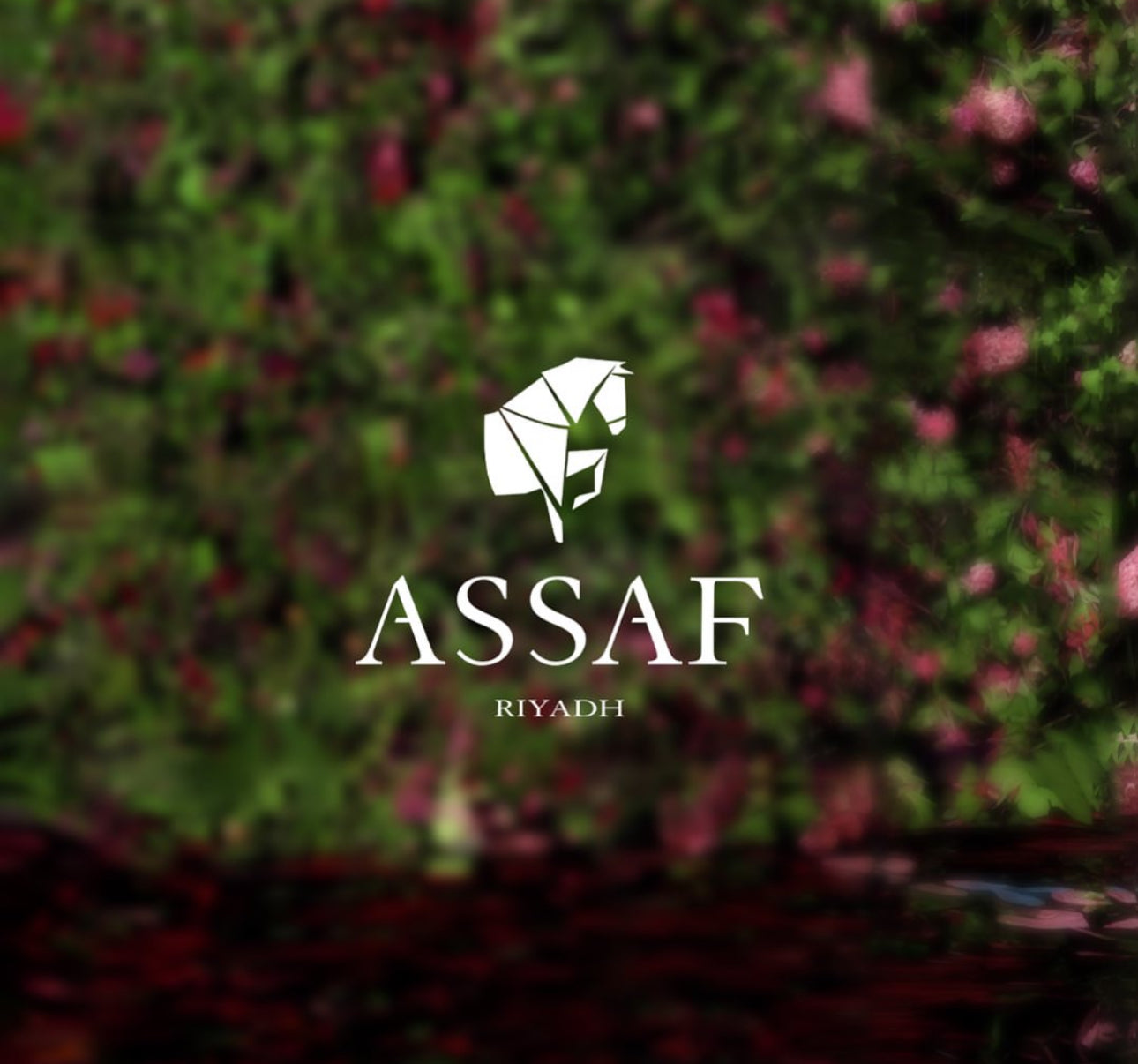 Assaf Perfume